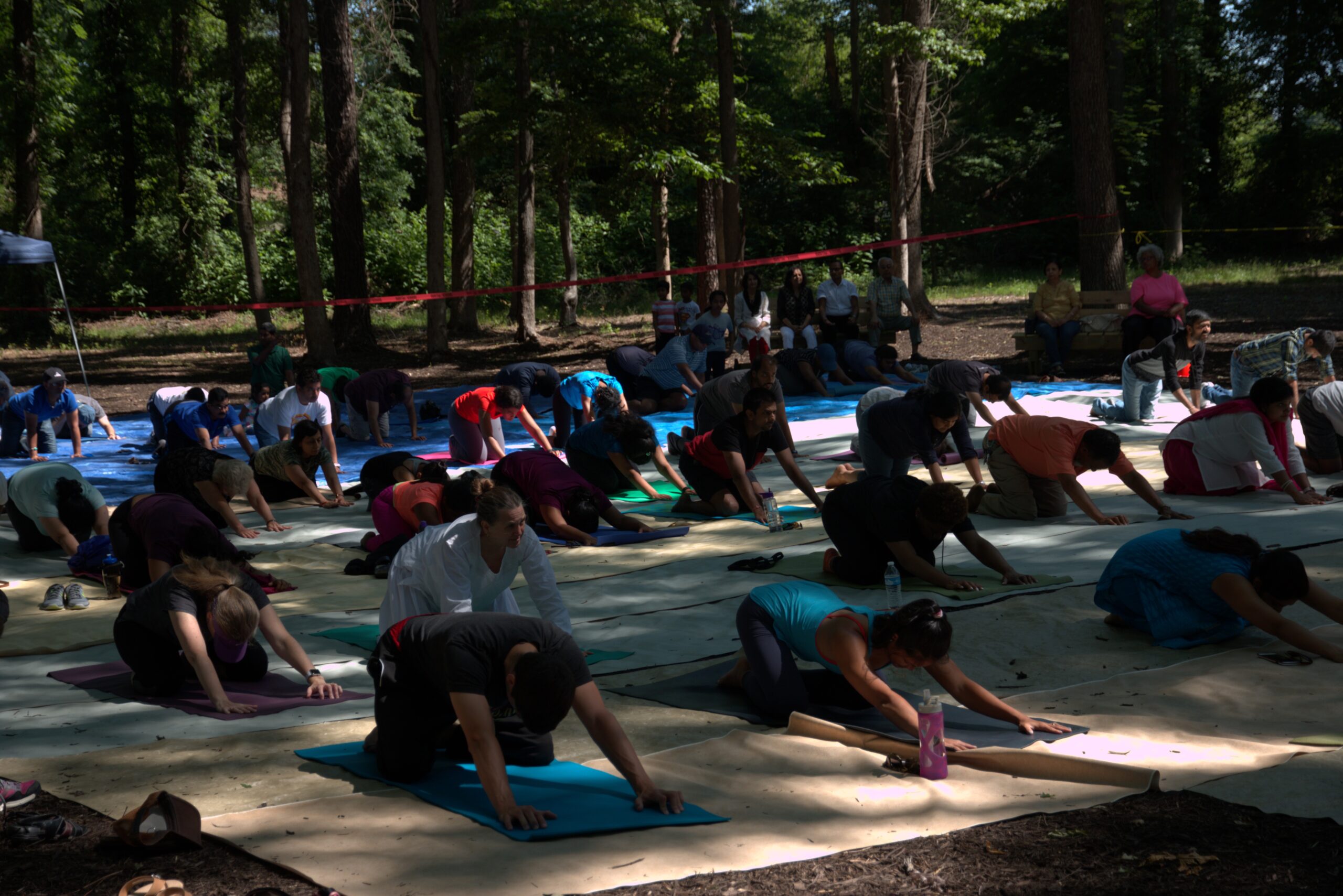 Community space photo: IYD 03Jun207 Curtain Raiser Richmond VA Outdoor Yoga 2 scaled